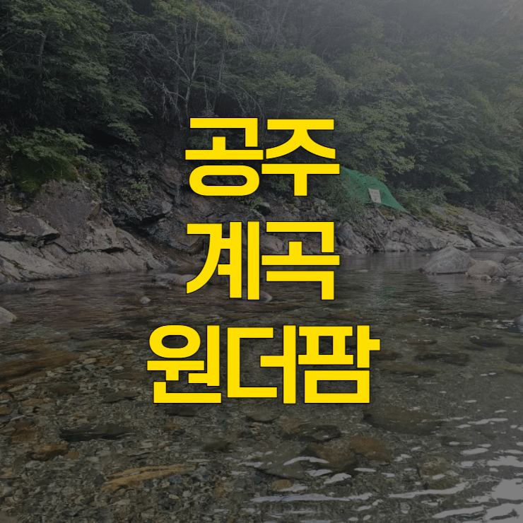 충남-계곡-갈만한-곳-대표-사진