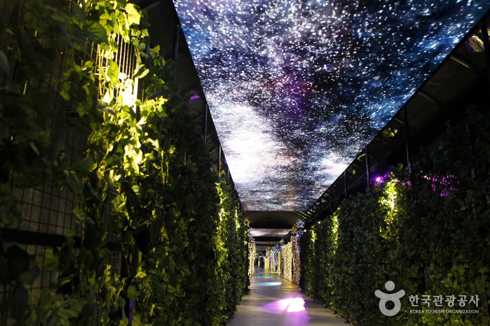 단양-수양개-빛터널