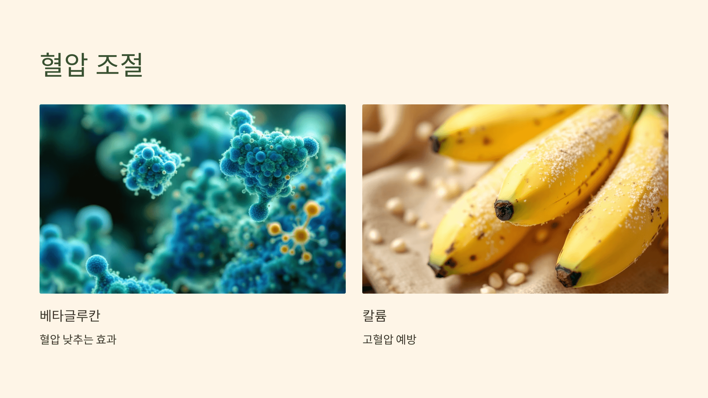 오트밀 사진입니다.