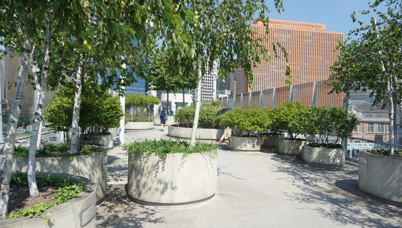 서울로 7017의 식물의 풍경과 산책하는 사람들