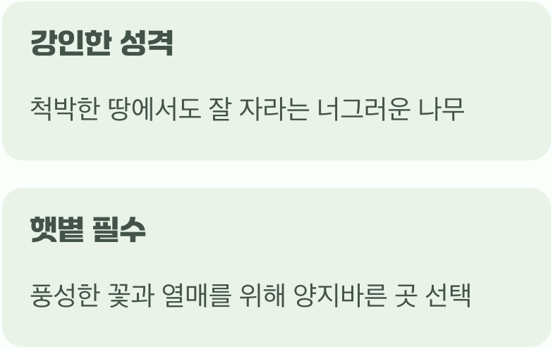 비결 1. 햇볕만 있다면 어디든 좋아요