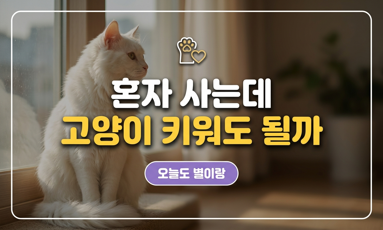 혼자 고양이 키우기 대표썸네일