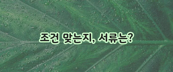 햇살론 유스 대출 대상자와 필수 서류 꼼꼼히 확인하세요!