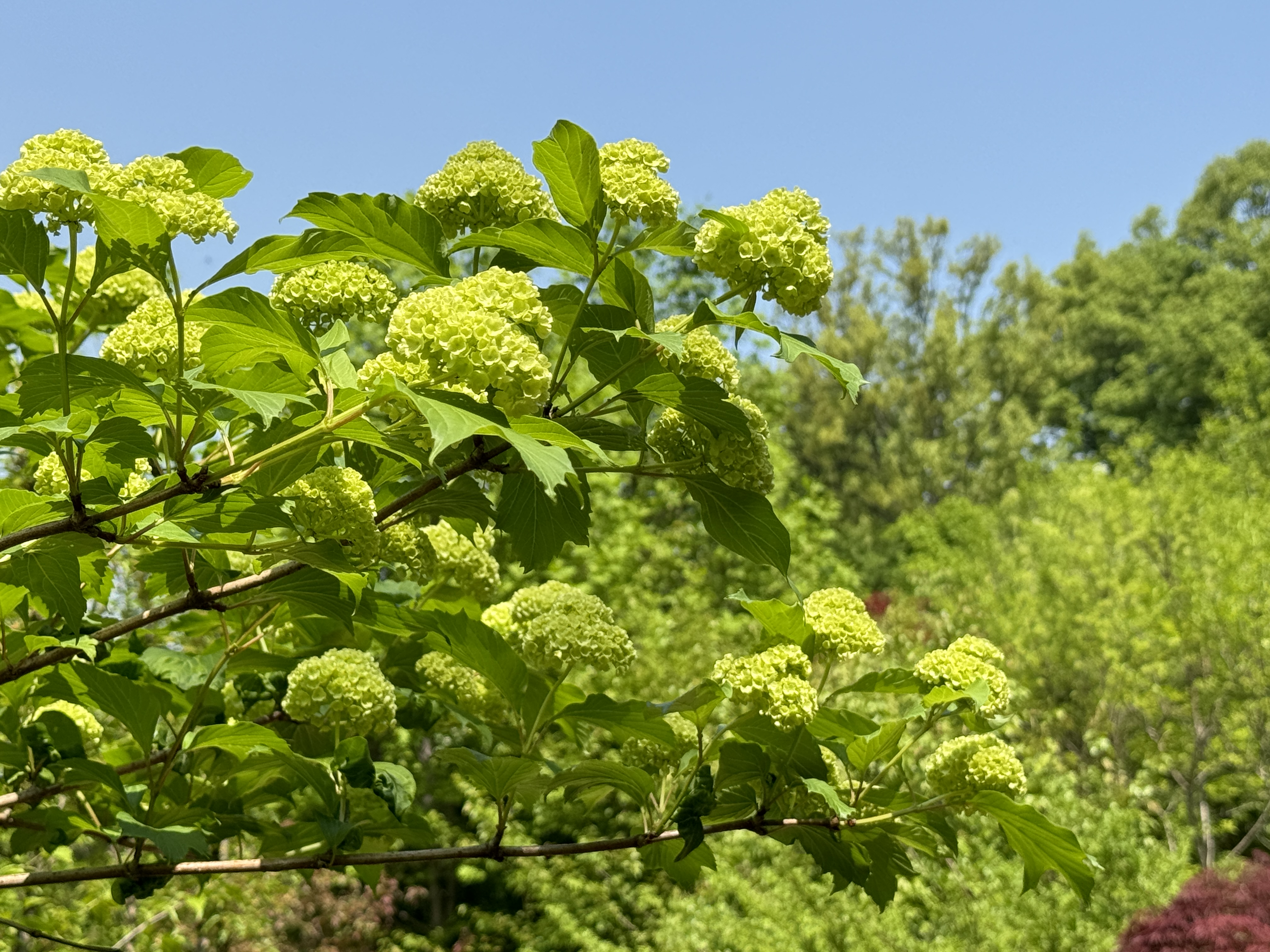 부천자연생태공원