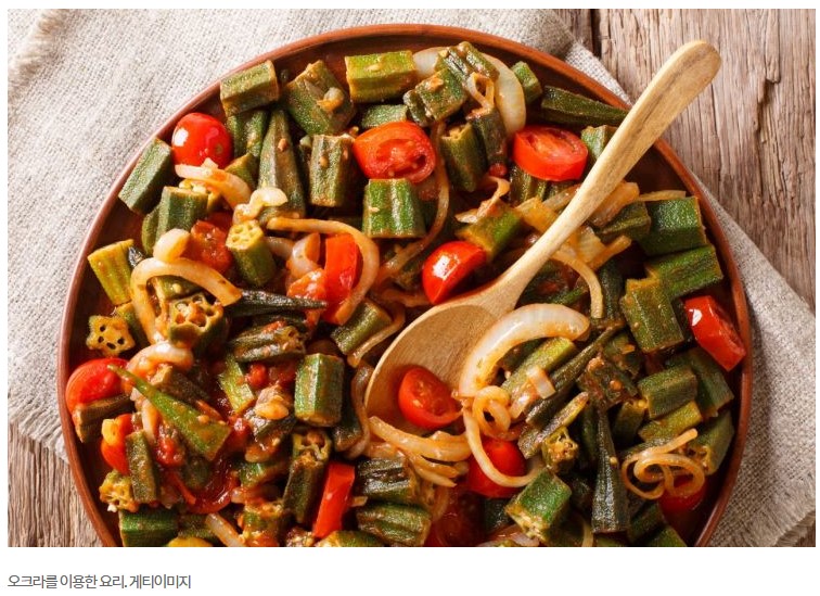 오크라 효능 총정리 (비만예방, 혈당조절, 활용법)