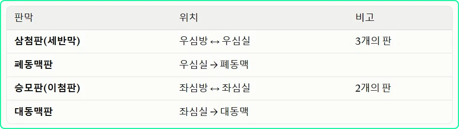 심장의 4개의 판막