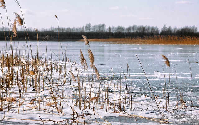 겨울 날씨 풍경