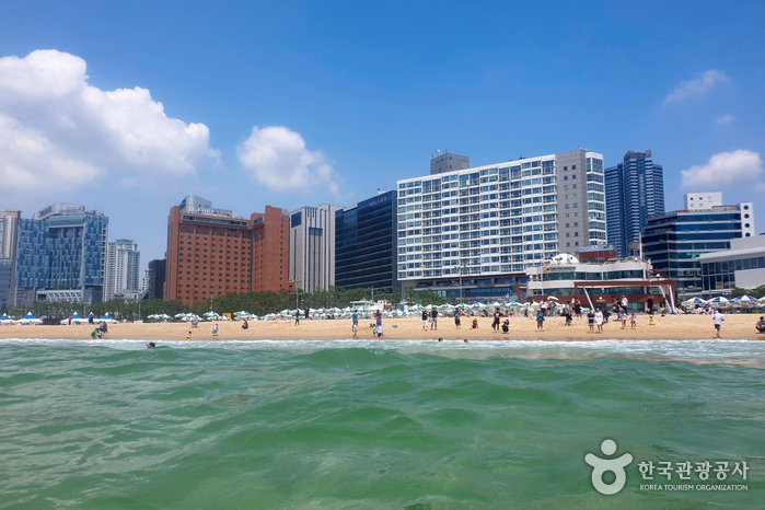 부산 가볼만한 곳 베스트 10