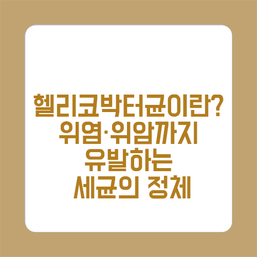 헬리코박터균이란? 위염·위암까지 유발하는 세균의 정체