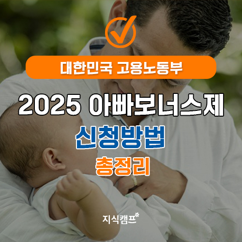 2025 아빠보너스제 신청방법 총정리 썸