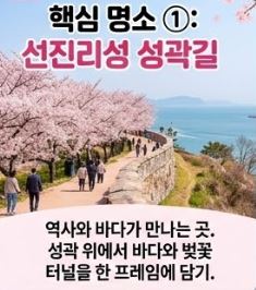 사천 벚꽃