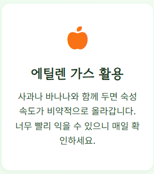 메론 후숙방법 