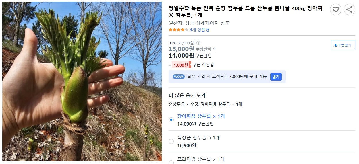 당일수확-특품-전북-순창-참두릅-드룹-산두릅-봄나물-400g,-장아찌용-참두릅,-1개