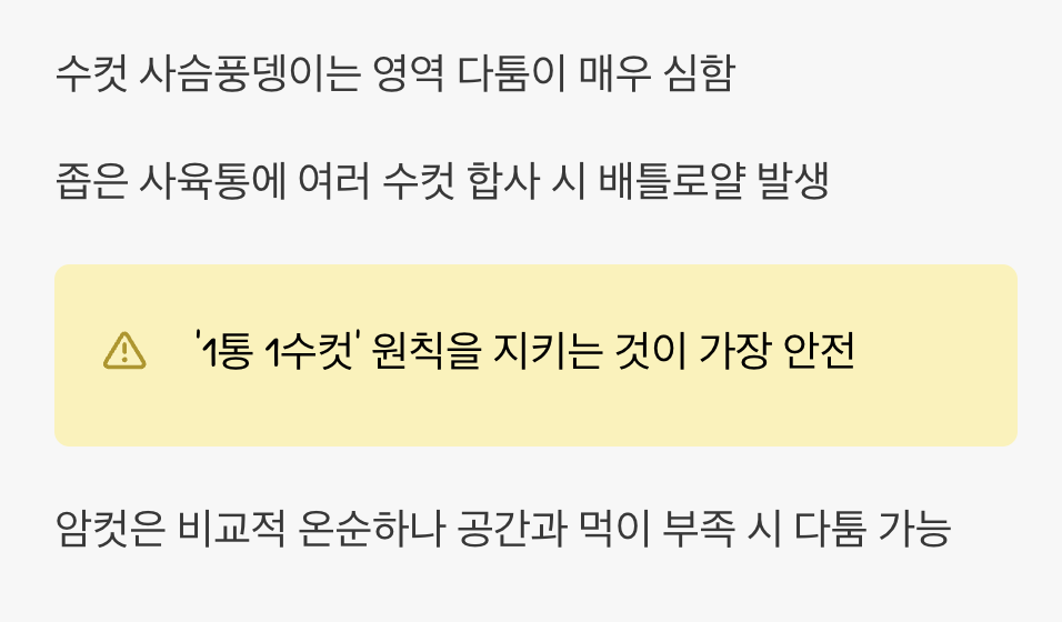 성급한 합사, 비극의 시작