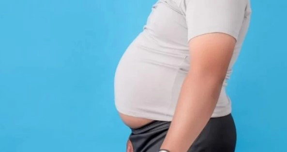 내장지방 레벨 수치