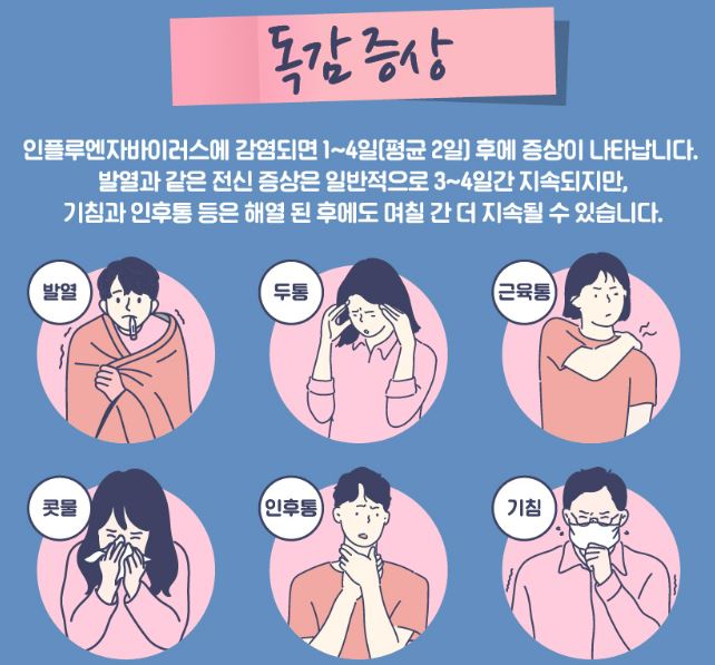 독감 증상