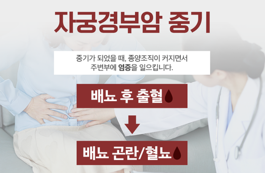 자궁경부암 예방접종 무료접종 신청하기