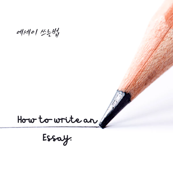 에세이-쓰는법/이라고/쓰여진/이미지