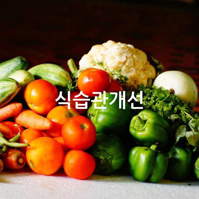 혈관건강관리