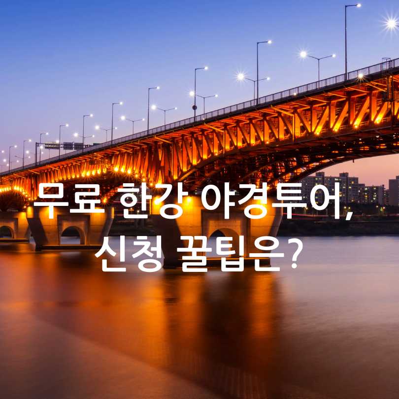 한강야경투어_봄