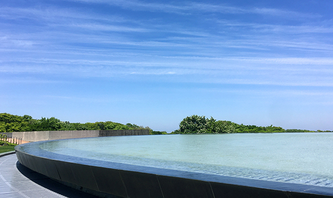 제주돌문화공원(1)