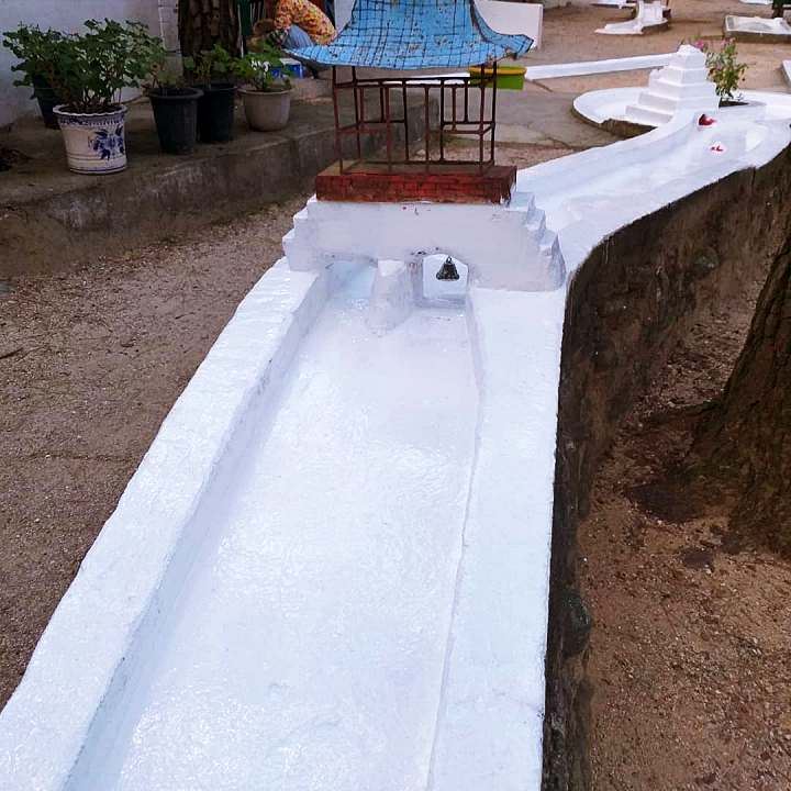 생생정보 피넛 모카크림 라떼 디저트 커피 맛집