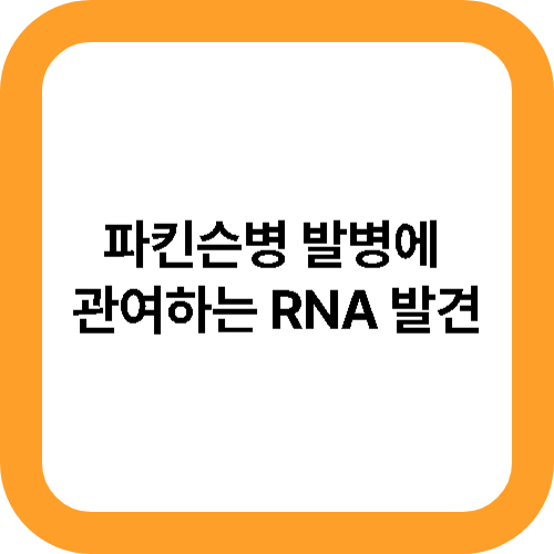 파킨슨병 발병에 관여하는 RNA 대표사진