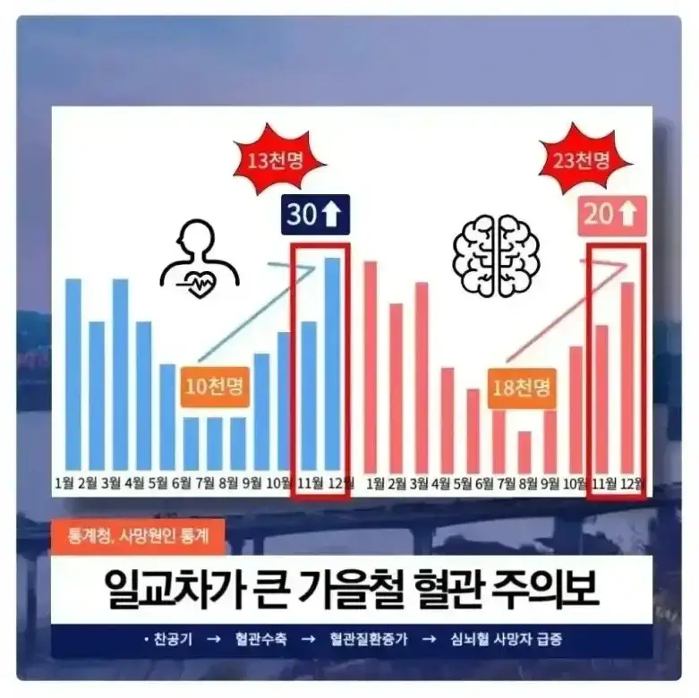 혈전용해제 나토키나제