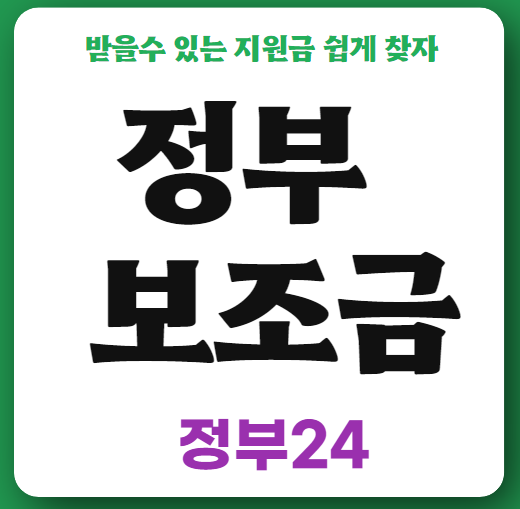 정부 보조금 24