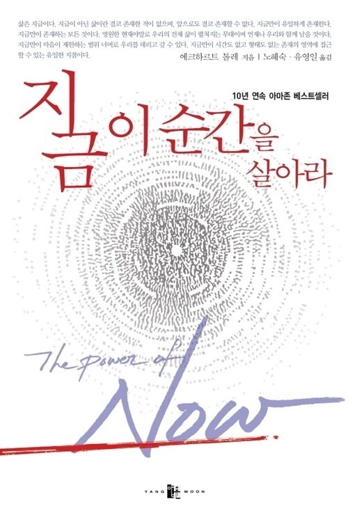 지금 이 순간을 살아라 도서 사진