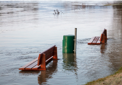 위기 속에서도 통신은 멈추지 않는다 &ndash; 재난안전통신망 관리자란?