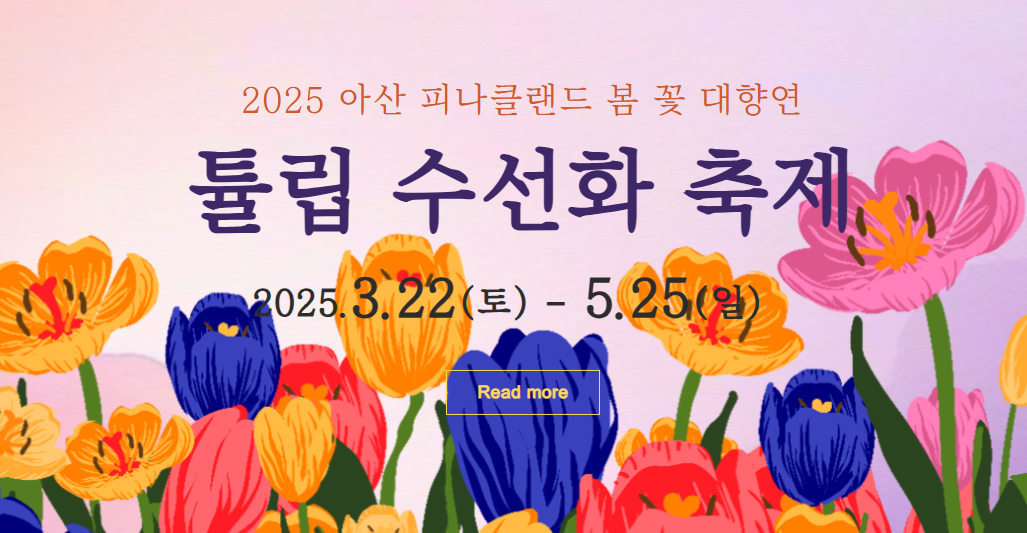 피나클랜드 튤립&amp;불꽃축제