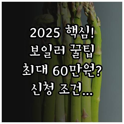 2025 동작구 친환경 보일러 일반 ..