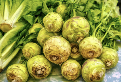 콜라비 효능과 먹는 방법, 요리법 완벽 정리!