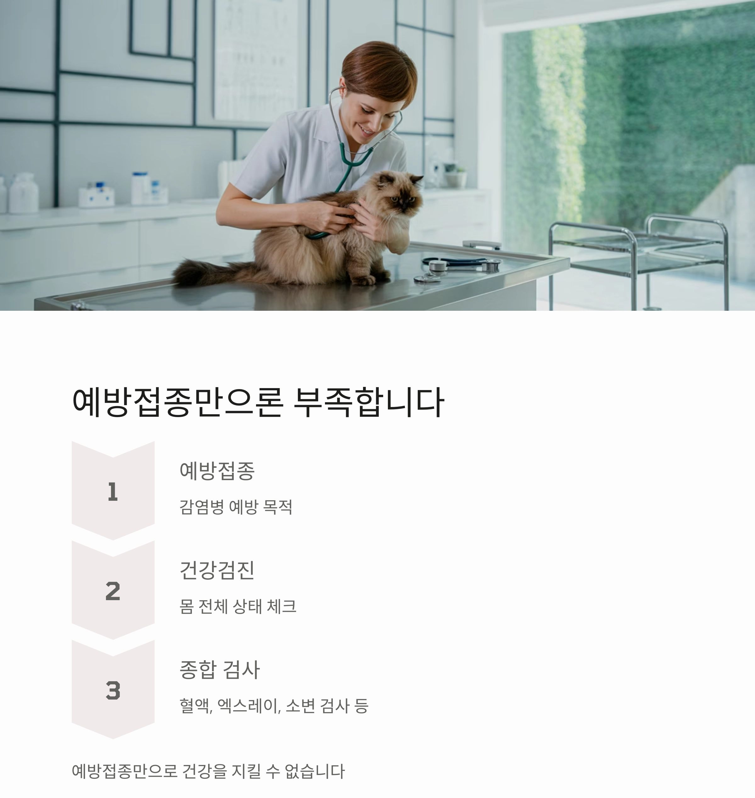 반려동물 건강관리, 1년에 한 번은 꼭 필요한 이유