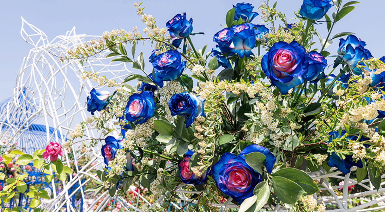 2025 서울국제정원박람회|서울 보라매공원에서 펼쳐지는 도심 속 정원의 예술