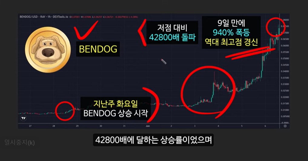 급등할 솔라나 밈코인 캣인어독스월드(MEW), 도지코인, 플로키, 벤도그, 마더, 그레이머, 워젝, 네버, 두코, 봉크