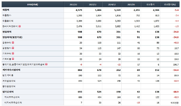 더네이처홀딩스 최근 4년 재무제표 추이