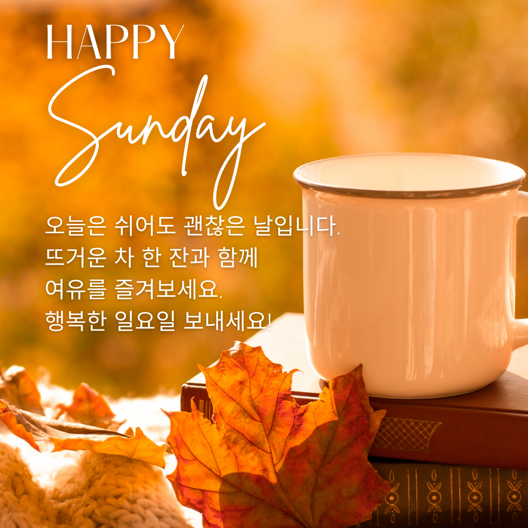 일요일 아침 인사말 이미지 문구 모음집