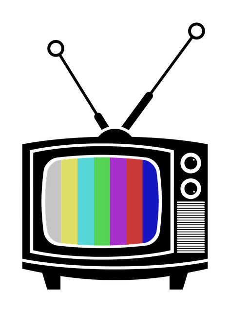 KBS TV 수신료 해지