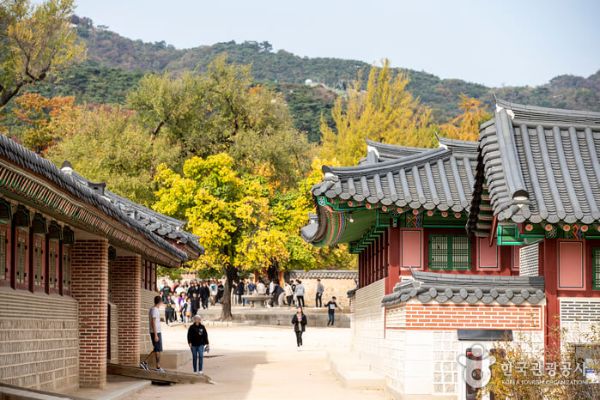 경복궁 야간개장