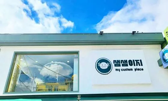 샘샘이지