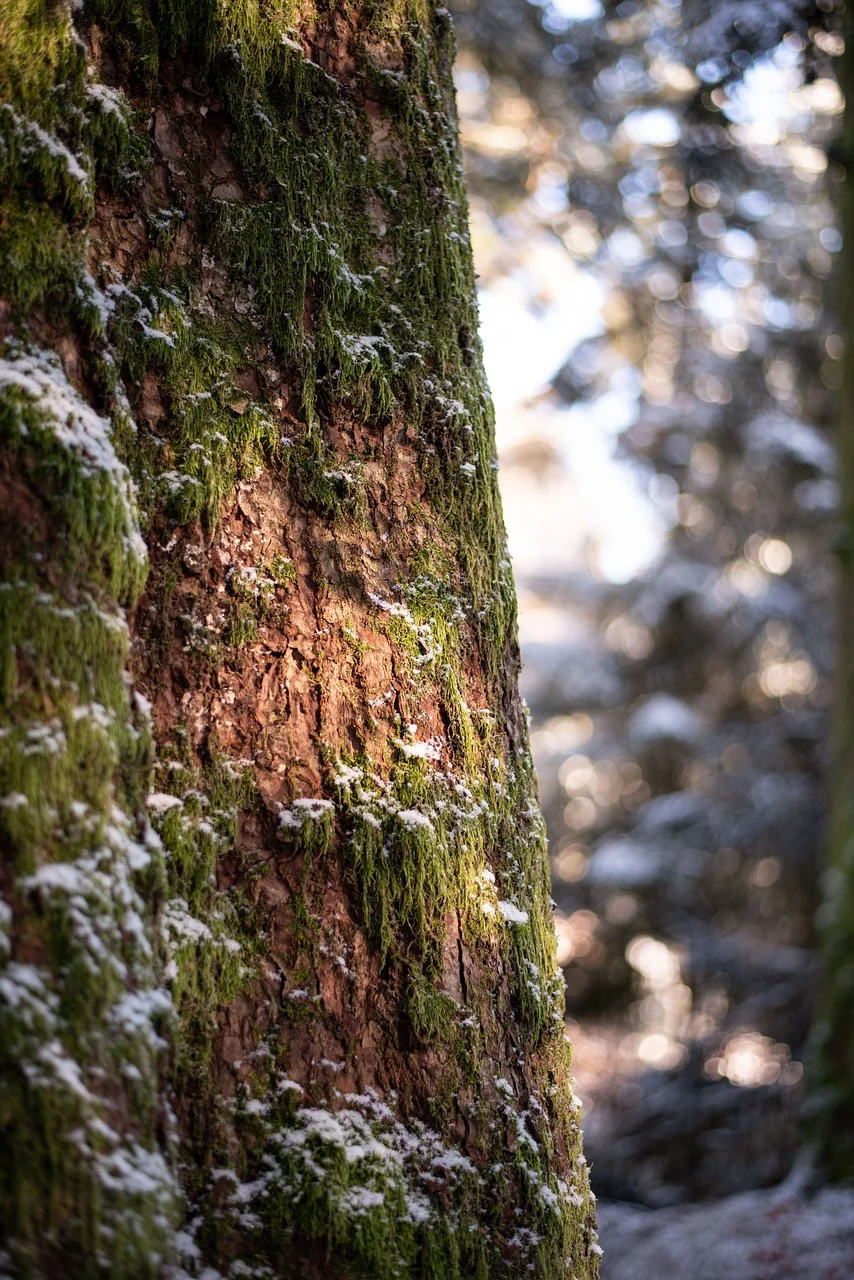 부동산 전자계약서 작성방법