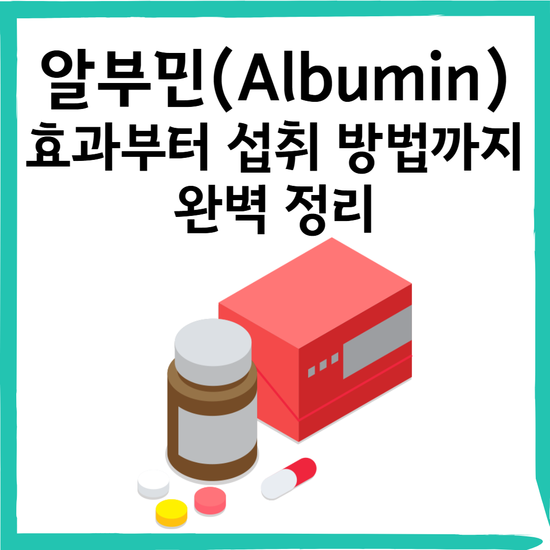 알부민(Albumin)이란? 효과부터 섭취 방법까지 완벽 정리!