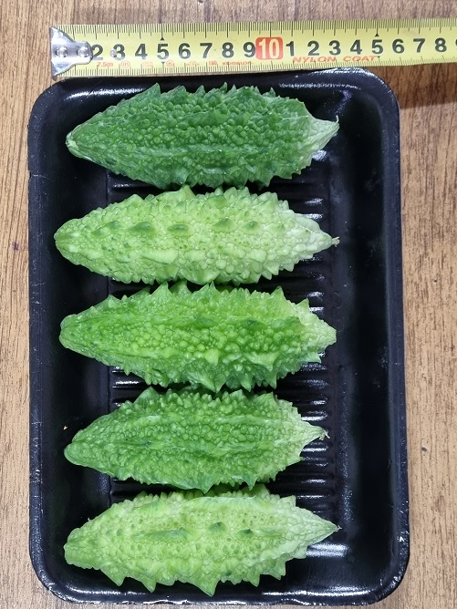 여주 열매