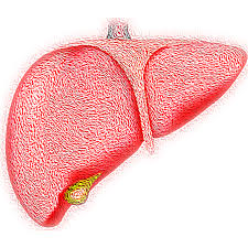 지방간 없애는 방법