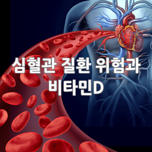 심혈관 질환 위험과 비타민D