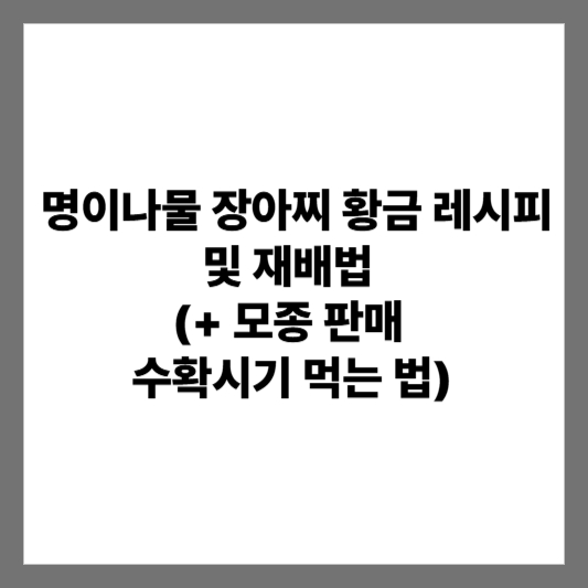 명이나물 장아찌 황금 레시피 및 재배법 (+ 모종 판매 수확시기 먹는 법)