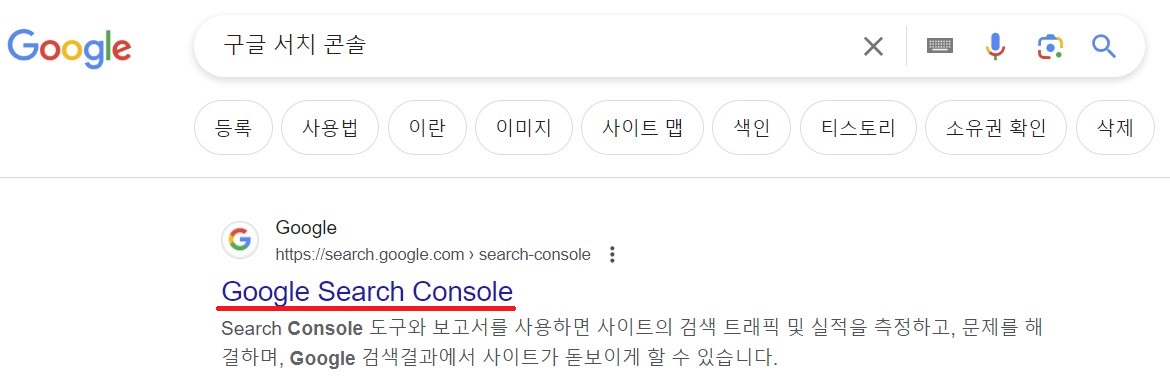 구글 서치 콘솔 수동색인 등록팁