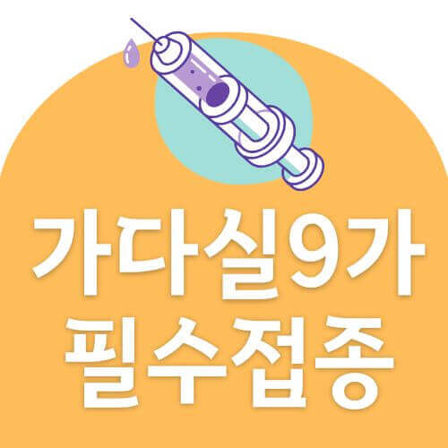 가다실 9가 얼마?
